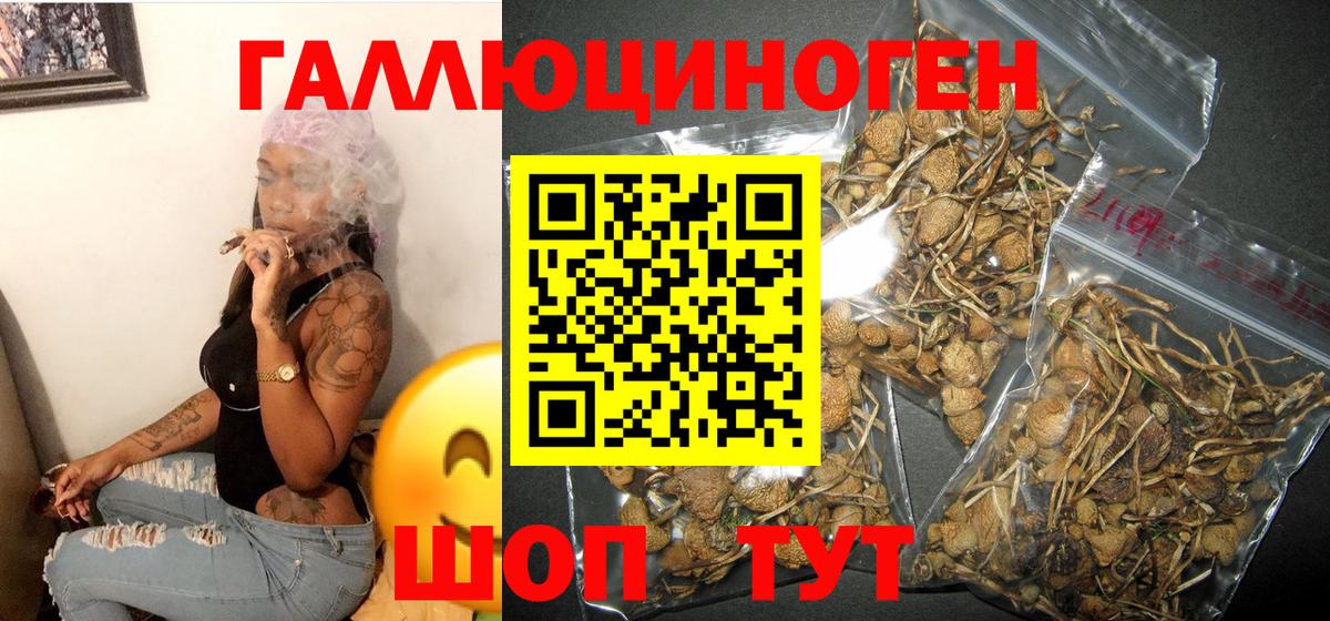 Псилоцибиновые грибы GOLDEN TEACHER Павловский Посад