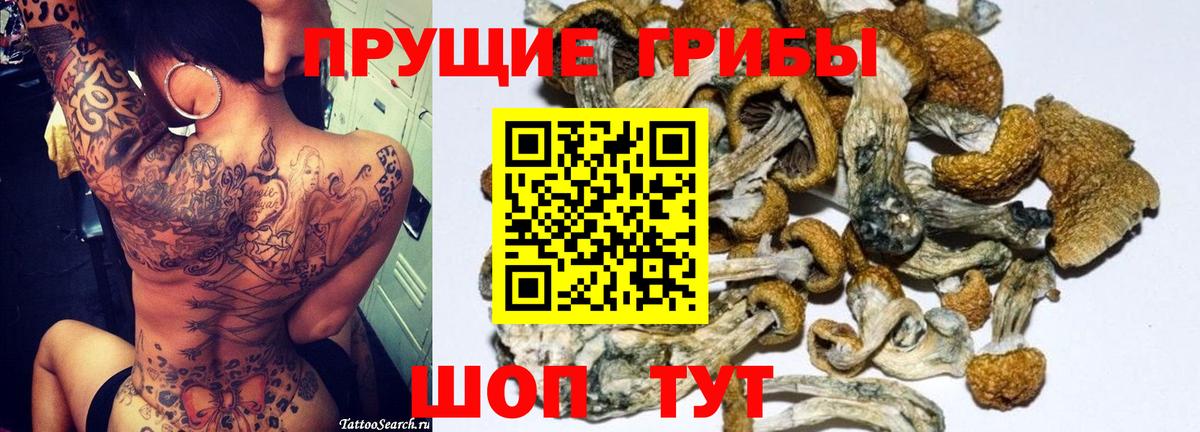 Галлюциногенные грибы GOLDEN TEACHER  Галлюциногенные грибы MAGIC MUSHROOMS  Павловский Посад  где найти   Вход с VPN 